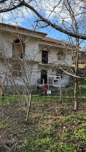 Bitro House